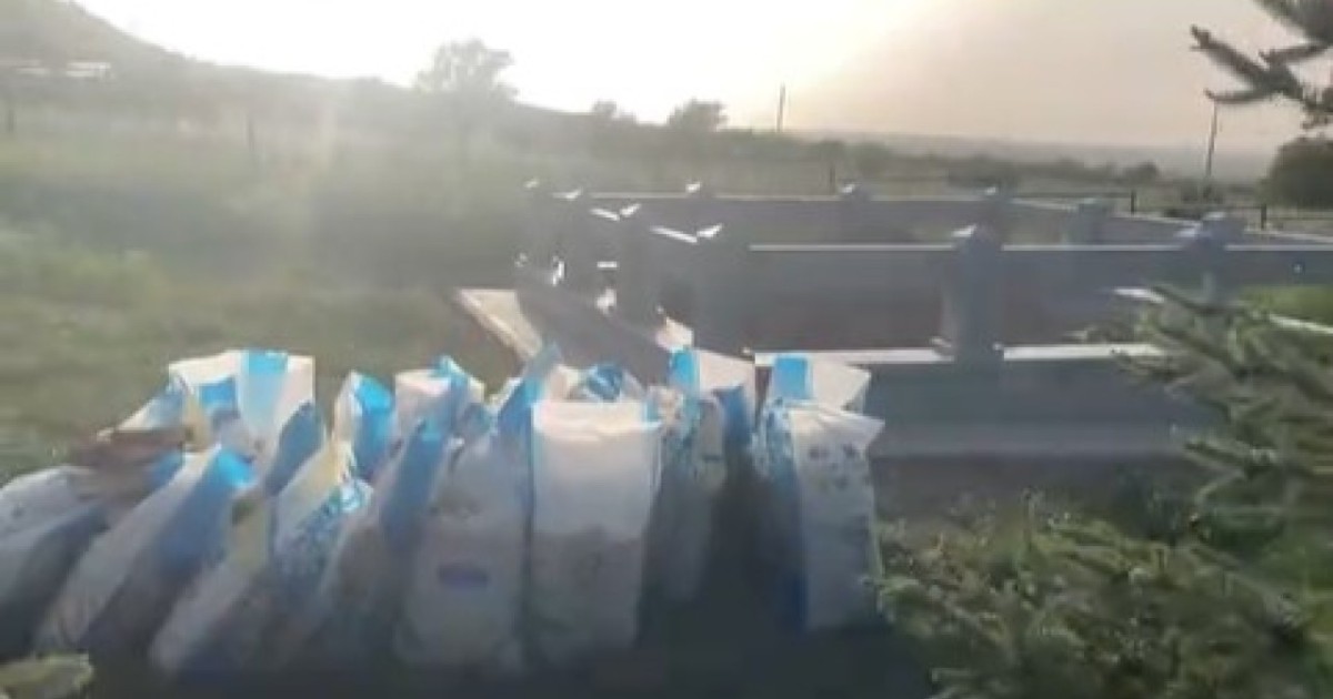 "Жаңа мазар табылды": Болат Назарбаев пен оның жұбайының бейітінен түсірілген видео қызу талқыланып жатыр