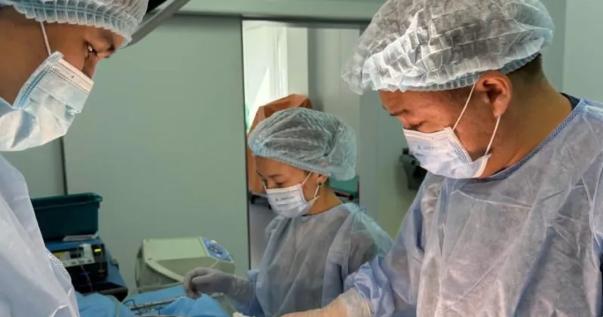 Ішінен 1,5 келі шаш шықты: Алматыда хирургтер  қыз баланың өмірін сақтап қалды