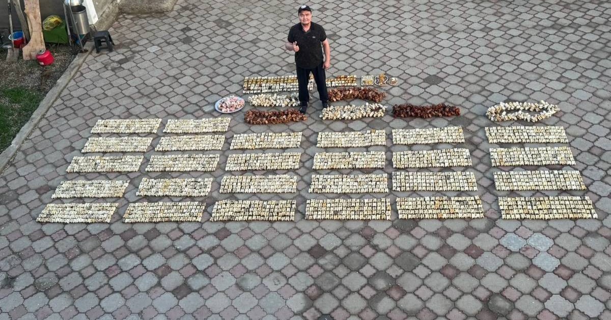 Хоббиден әлемдік рекордқа дейін: қазақстандық Гиннес рекордтар кітабына кіруді үміттенеді