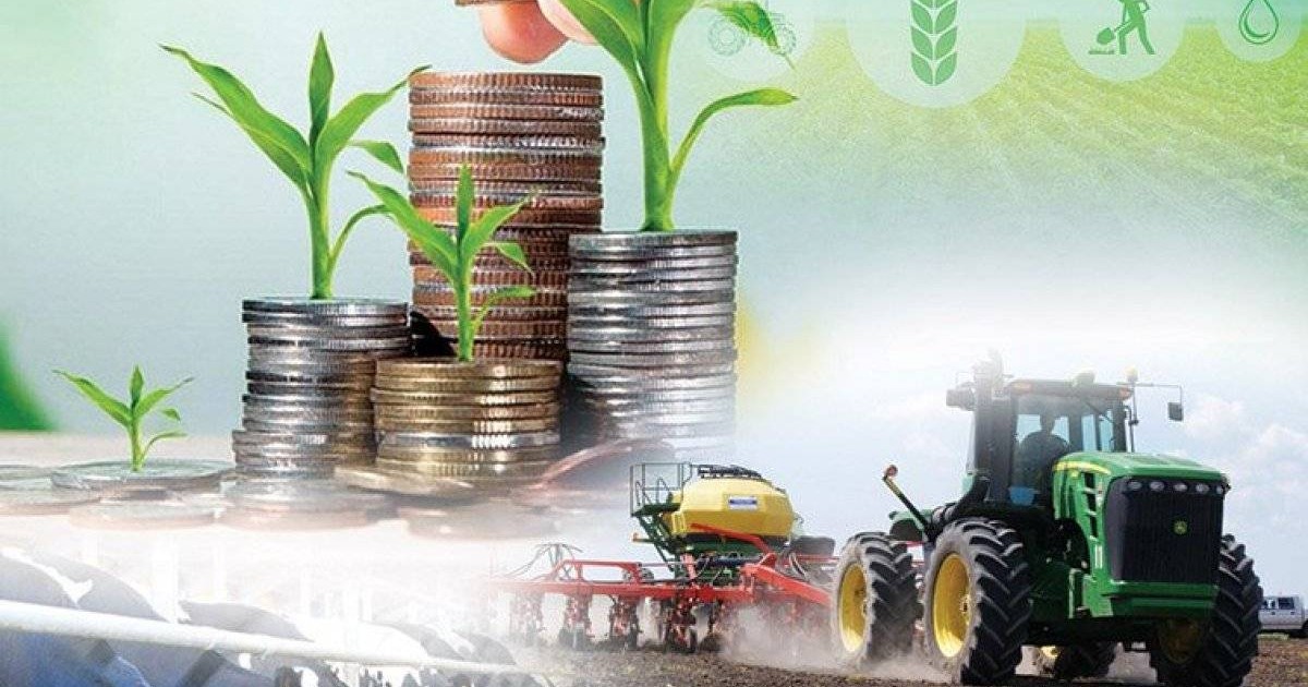 Жамбылда 5 млрд теңге қайтарылған қаржы есебінен 700-ден аса жоба қаржыландырылды
