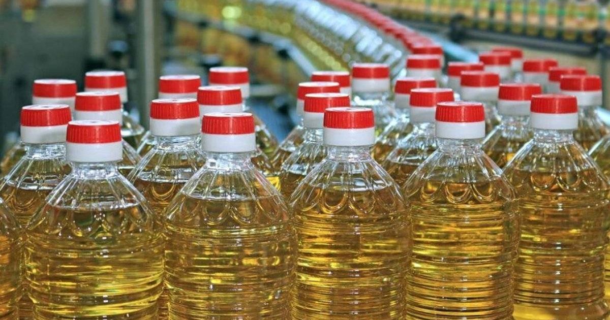 Өсімдік майы өндірісі 24%-ға артты: Қазақстан қандай нәтижеге жетті?