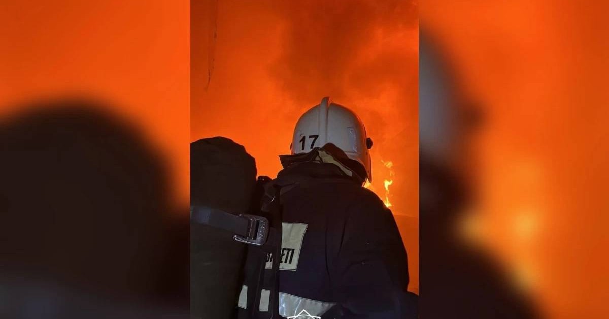 Қайғылы оқиға! Алматы облысында тілсіз жау үш адамның өмірін жалмады