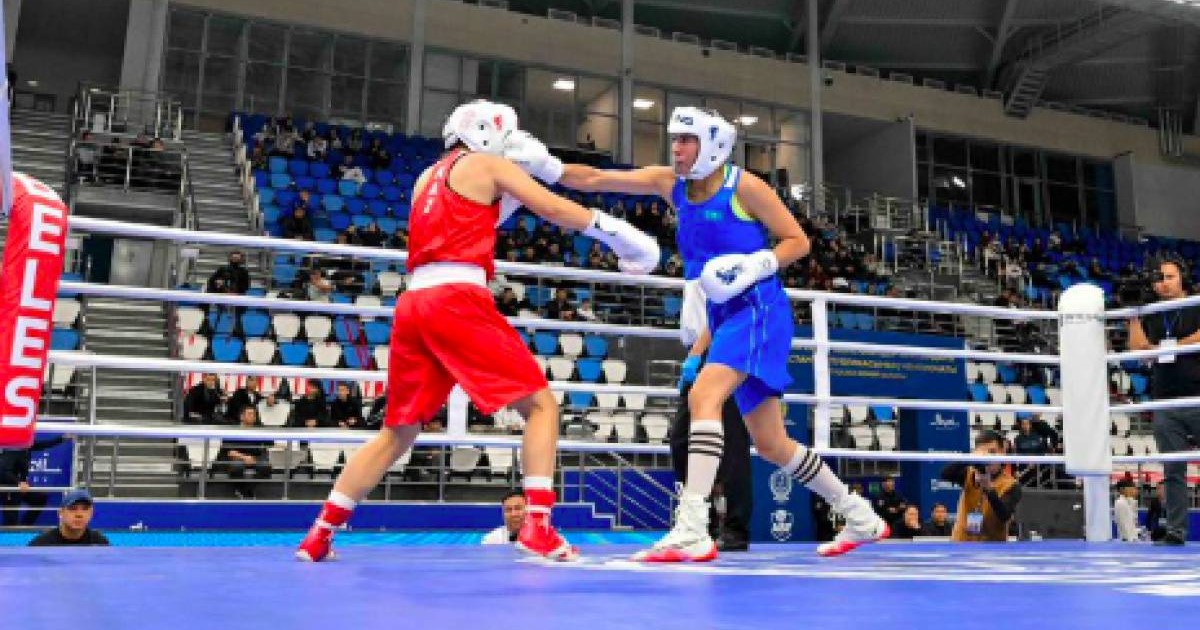 Семейде бокстың басты бәсекесі басталды: алты әлем чемпионы жаңа салмақта күш сынасады