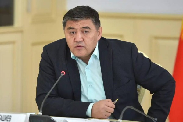 Ташиев жөнделмеген жол үшін мердігерді бағанға байлауды талап етті