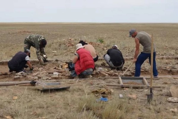 Қазақстанның далалық өңірінен XII ғасырда жерленген баланың сүйегі табылды.