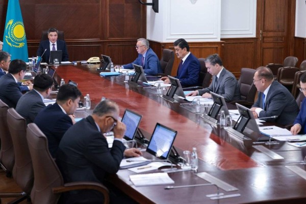 Су тапшылығы мен заңсыз егіс: Бектенов оңтүстіктегі вегетация барысын талқылады