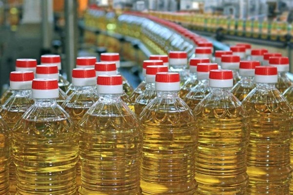 Өсімдік майы өндірісі 24%-ға артты: Қазақстан қандай нәтижеге жетті?