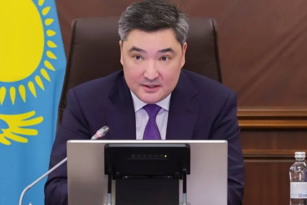 Сирек және сирек жер металдары: Үкімет бұл саланы қалай жеделдетпек?