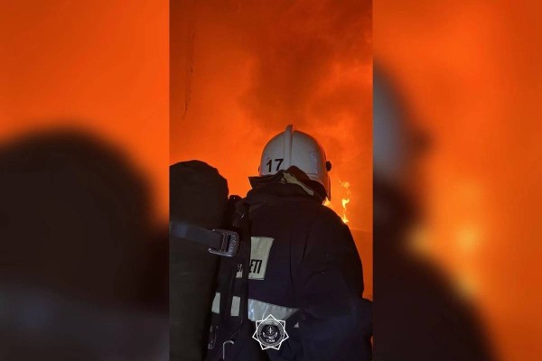 Қайғылы оқиға! Алматы облысында тілсіз жау үш адамның өмірін жалмады