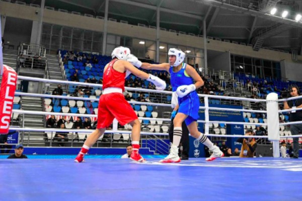 Семейде бокстың басты бәсекесі басталды: алты әлем чемпионы жаңа салмақта күш сынасады