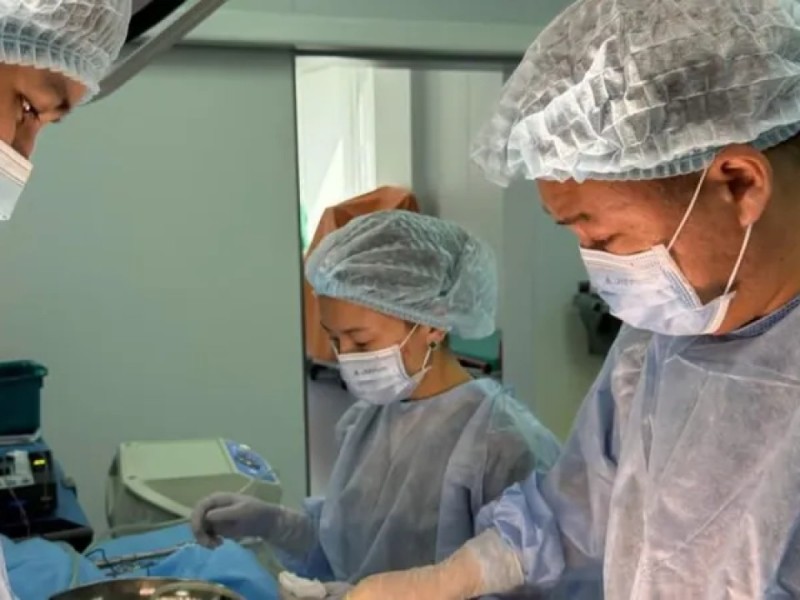 Ішінен 1,5 келі шаш шықты: Алматыда хирургтер  қыз баланың өмірін сақтап қалды