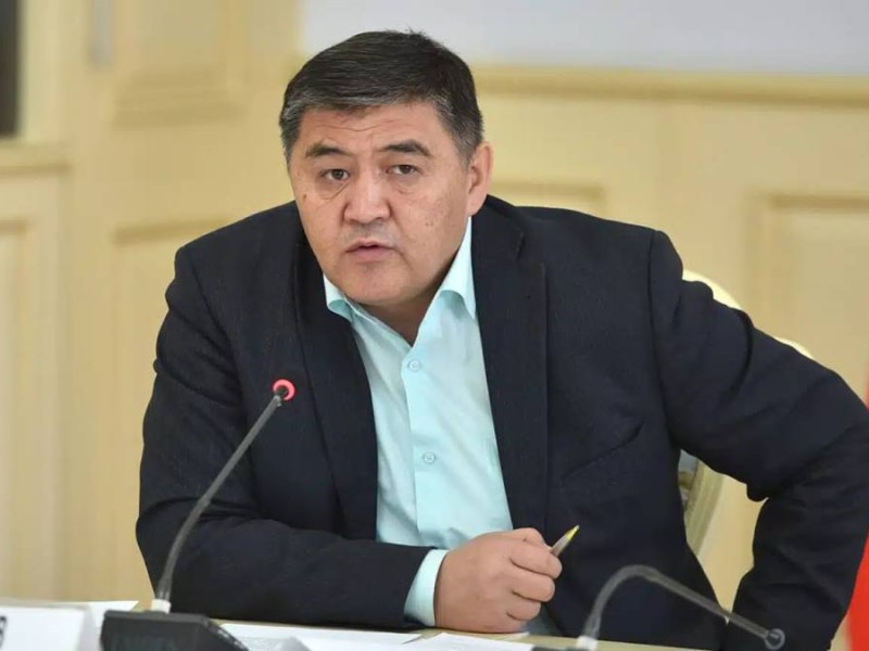 Ташиев жөнделмеген жол үшін мердігерді бағанға байлауды талап етті