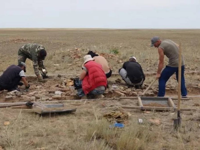 Қазақстанның далалық өңірінен XII ғасырда жерленген баланың сүйегі табылды.