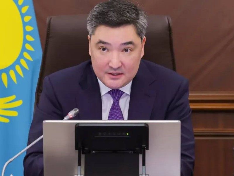 Сирек және сирек жер металдары: Үкімет бұл саланы қалай жеделдетпек?