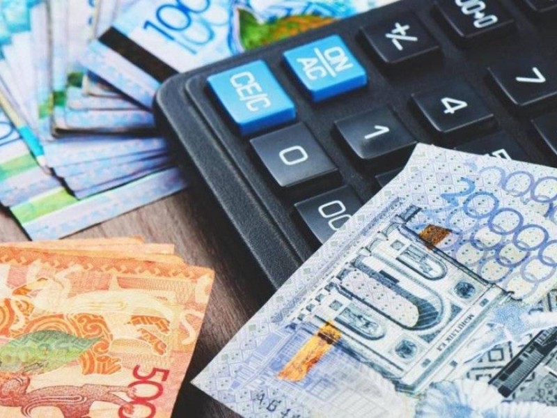 Мүгедектік және асыраушысынан айырылу бойынша 434 млрд теңге жәрдемақылар мен әлеуметтік төлемдер төленді