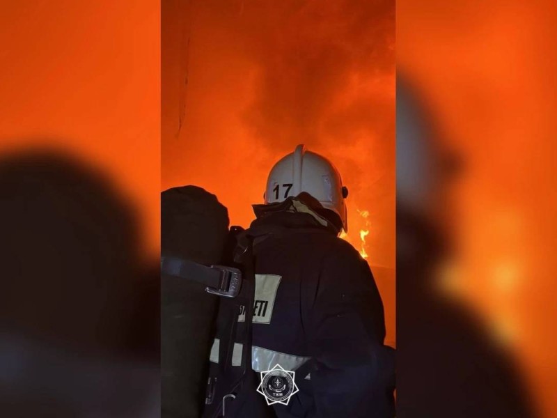 Қайғылы оқиға! Алматы облысында тілсіз жау үш адамның өмірін жалмады