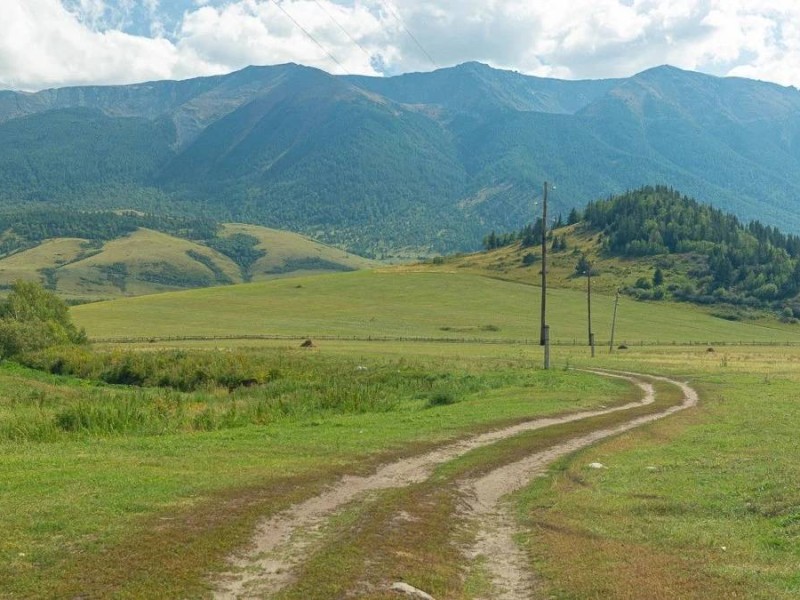 "Ауыл – ұлт өзегі": Қазақстандағы ауыл саясатының жаңа бағыты