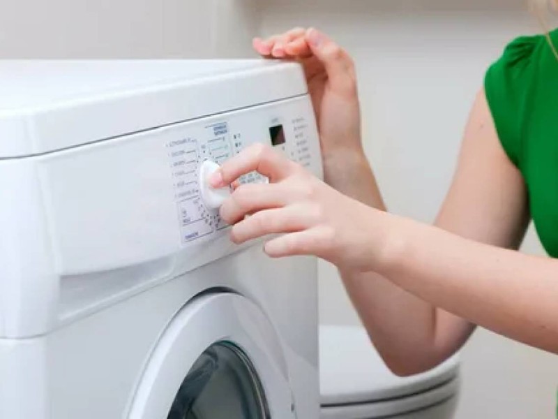 Кір жуғыш машинада үй жануары жуылып, қайғылы оқиға орын алды