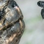135 жаста алғаш рет әке атанды: Гиннестің рекордтар кітабына үміткер пайда болды