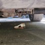 Алматыда такси 77 жастағы әжейді қағып өлтірді