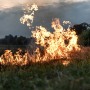 ТЖМ мамандары жазғы өрт маусымында бақылауды күшейтті