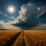 Алдағы күндері елімізде найзағайлы жаңбыр мен аптап ыстық күтіледі